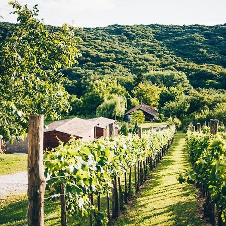 Dutch Hill Bed & Breakfast Zalacsany Bagian luar foto