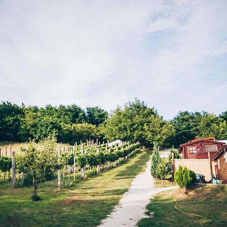 Dutch Hill Bed & Breakfast Zalacsany Bagian luar foto