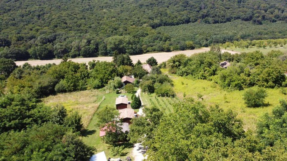 Dutch Hill Bed & Breakfast Zalacsany Bagian luar foto